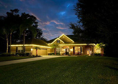K&S Lights Outdoor Christmas Lights